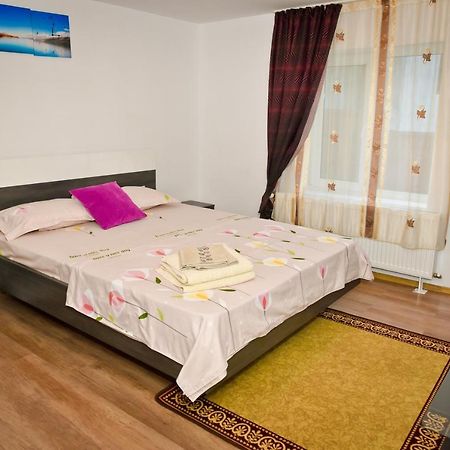 Hotel Casa Dodo à Călimăneşti Extérieur photo