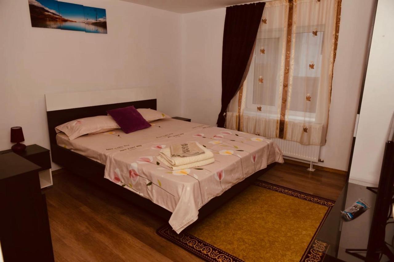 Hotel Casa Dodo à Călimăneşti Extérieur photo