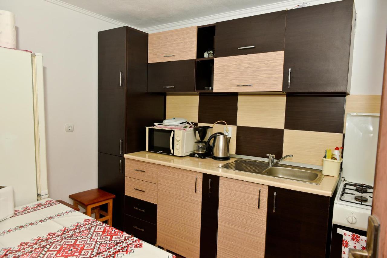 Hotel Casa Dodo à Călimăneşti Extérieur photo